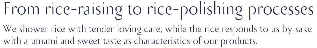 Special Rice
